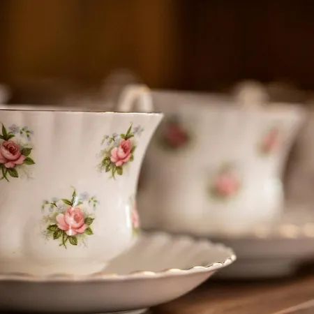 L'aurora Bed & Breakfast Todi