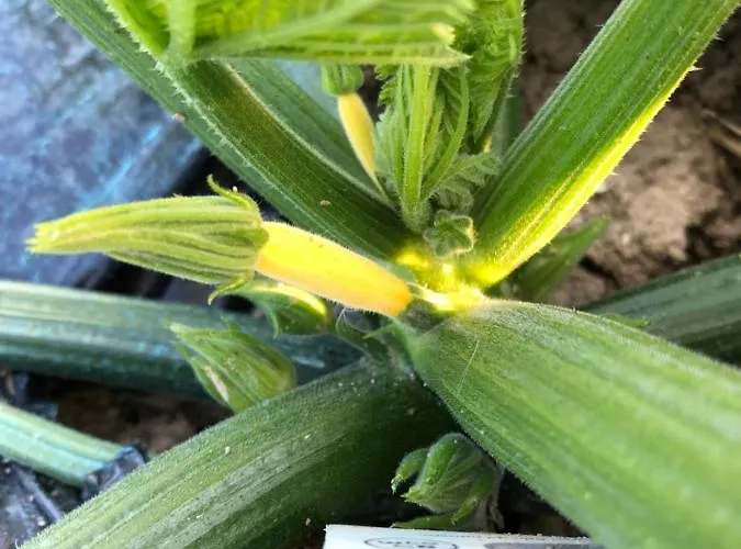 L'aurora Frühstückspension Todi